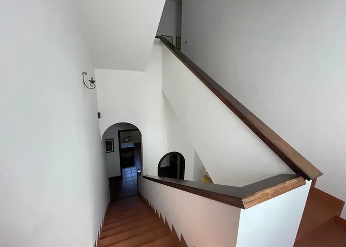 Tenuta Palmarini *