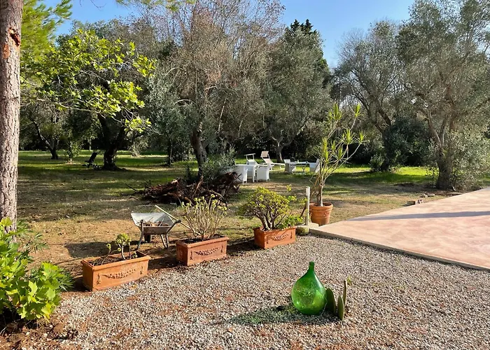 Tenuta Palmarini San Cataldo (Apulia)