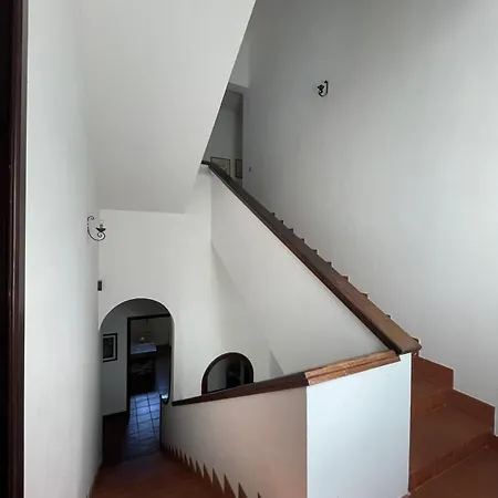 Tenuta Palmarini * San Cataldo (Apulia)