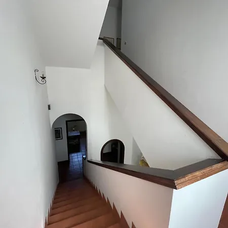 Tenuta Palmarini *