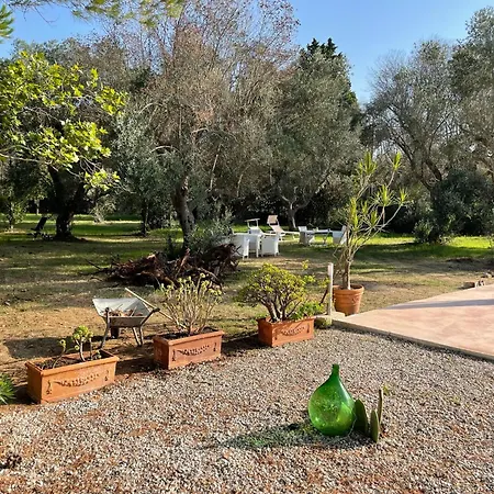 Tenuta Palmarini San Cataldo (Apulia)
