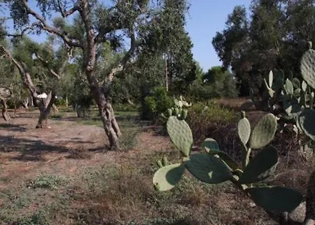 Tenuta Palmarini * San Cataldo (Apulia)